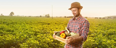 Βιολογική Γεωργία - Κτηνοτροφία