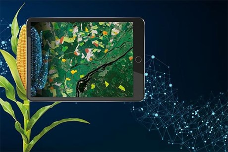 Η ΔΟΥΛΕΙΑ ΜΑΣ