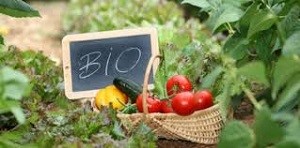Βιολογική Γεωργία & Κτηνοτροφία