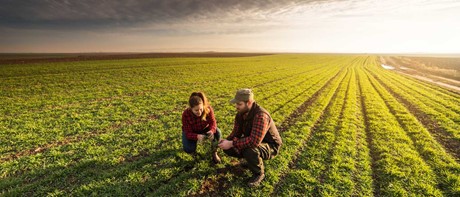 ΓΕΩΡΓΙΚΟΣ ΣΥΜΒΟΥΛΟΣ