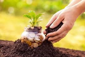 ΠΙΣΤΟΠΟΙΗΜΕΝΟΣ ΓΕΩΡΓΙΚΟΣ ΣΥΝΒΟΥΛΟΣ