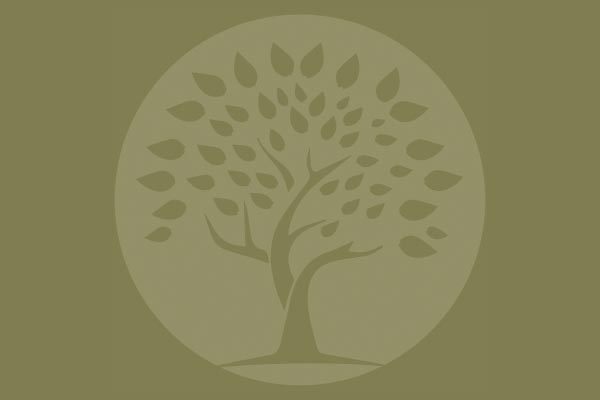 Αποτελέσματα προγράμματος Π.Ε. Βορείου Αιγαίου «Ενίσχυση μικρών και πολύ μικρών Επιχειρήσεων που επλήγησαν από τον Covid19 στην Περιφέρεια Βορείου Αιγαίου».